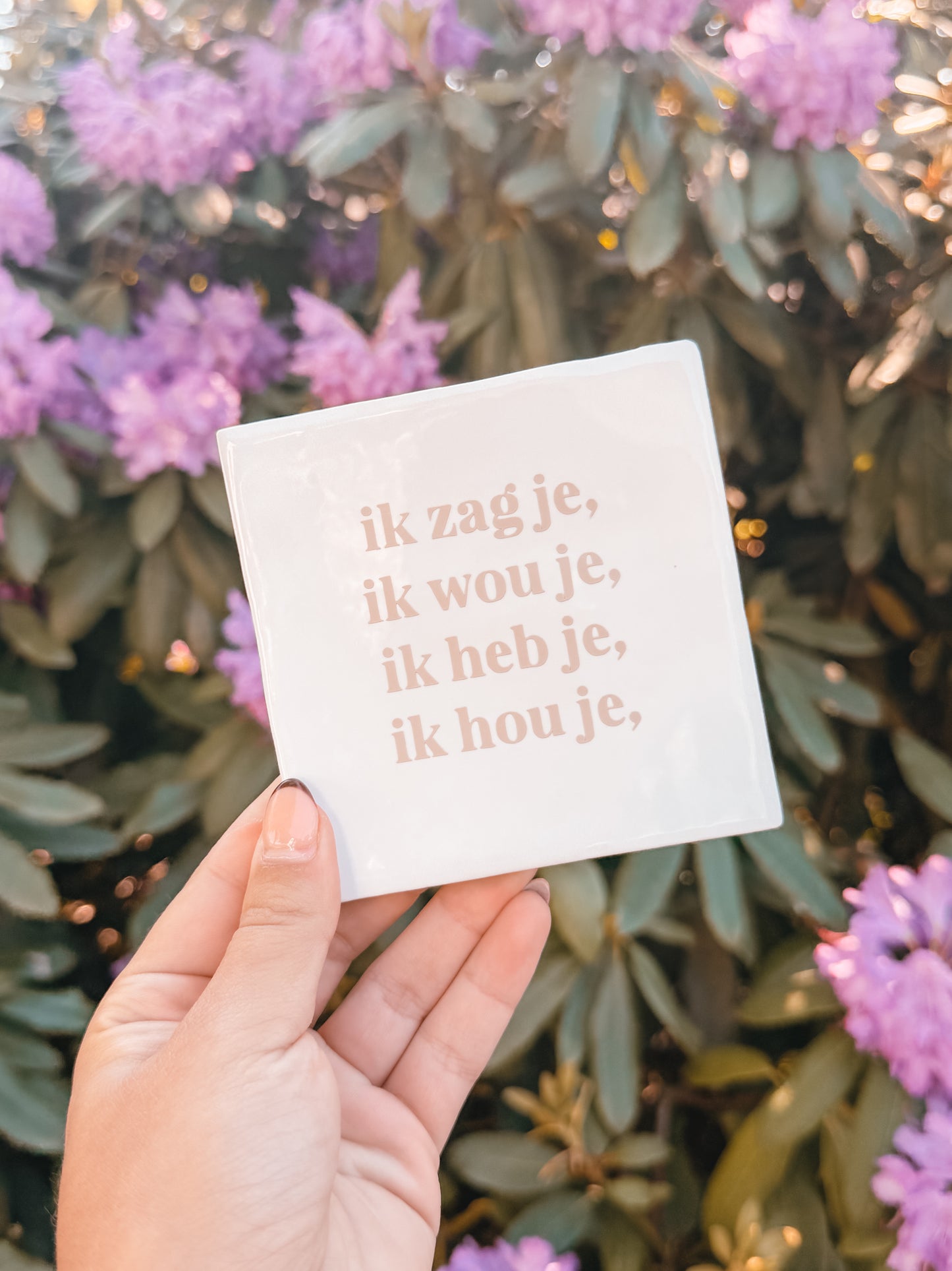 Tegeltje Ik zag je