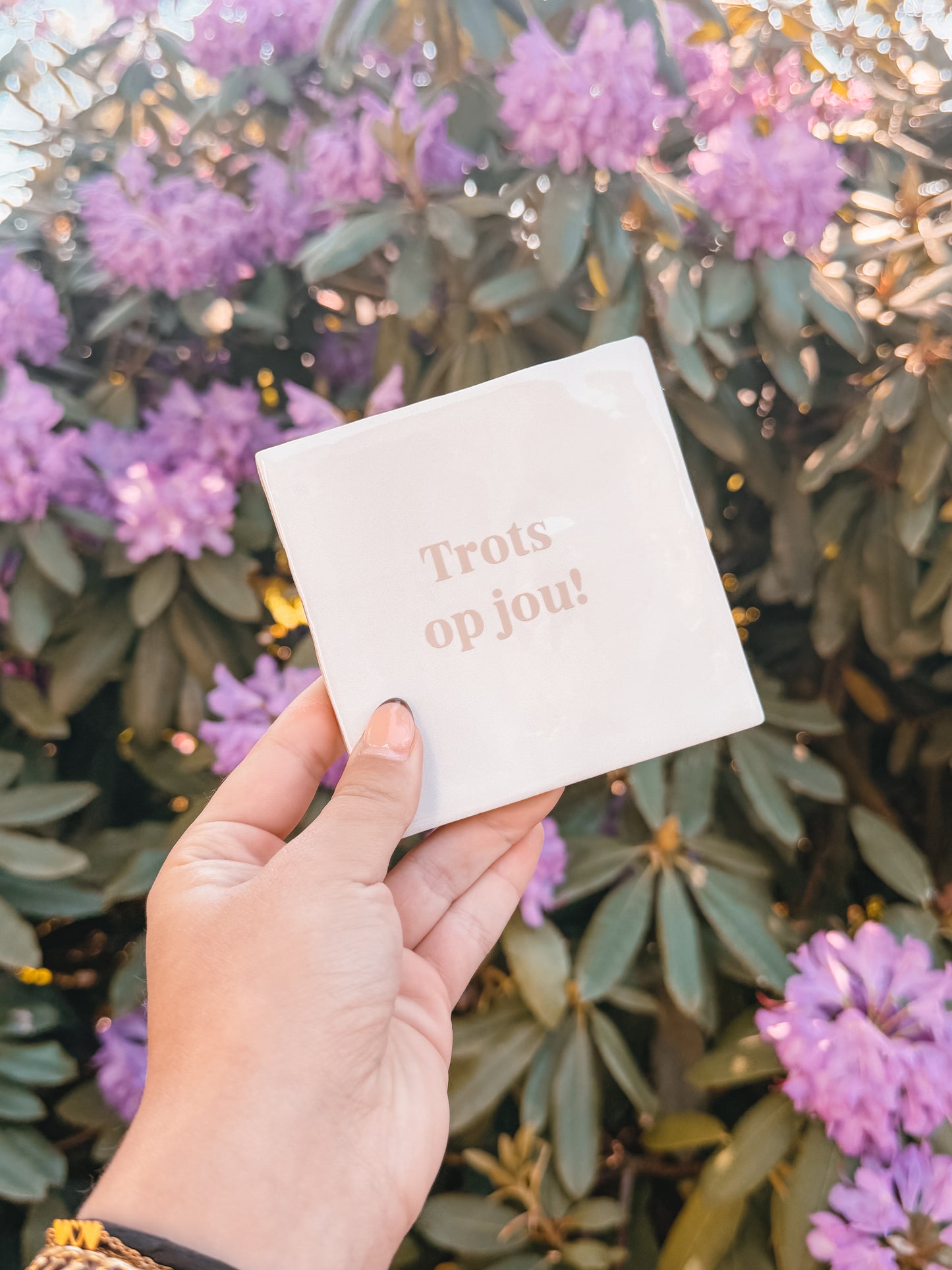 Tegeltje Trots op jou!